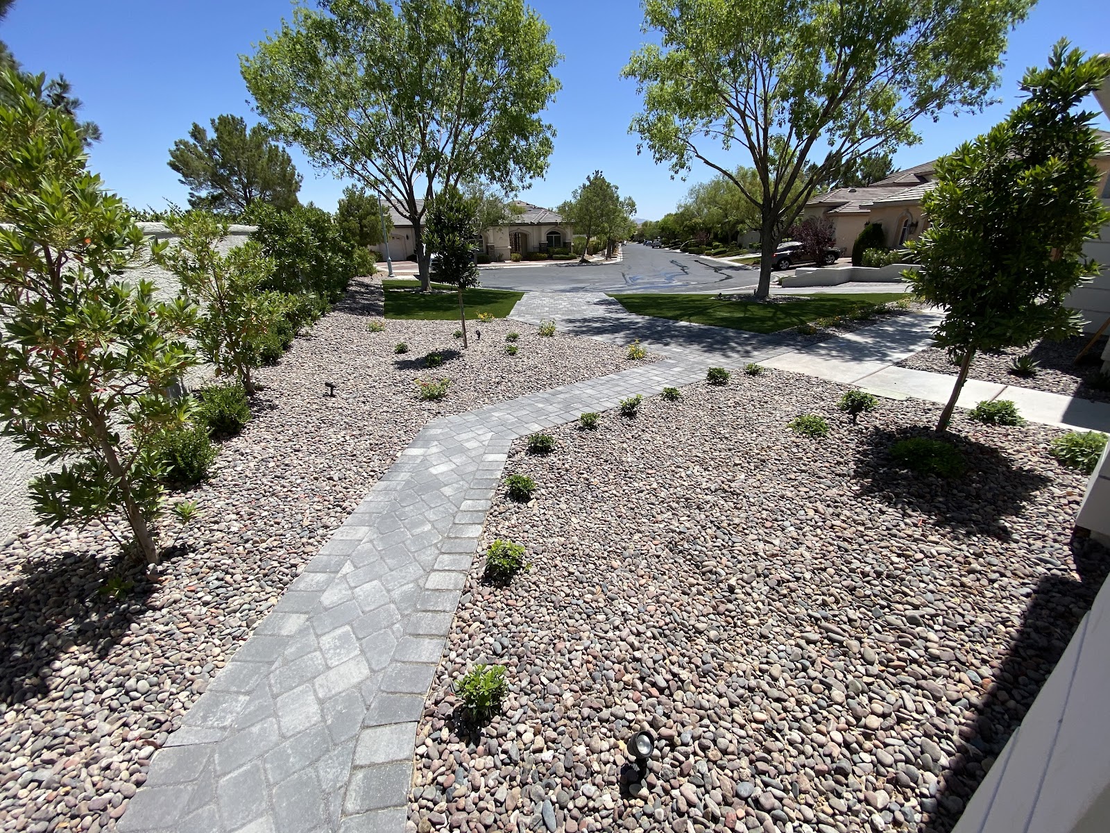 Front yard desert landscaping with a paver walkway, river rock and young trees